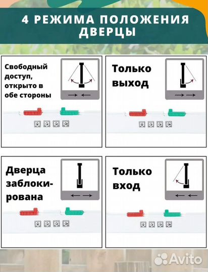 Дверца в дверь для кошек