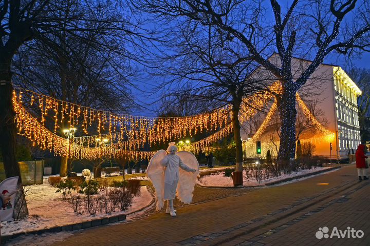 Туры в Калининград с января по март