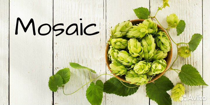 Хмель Beervingem 