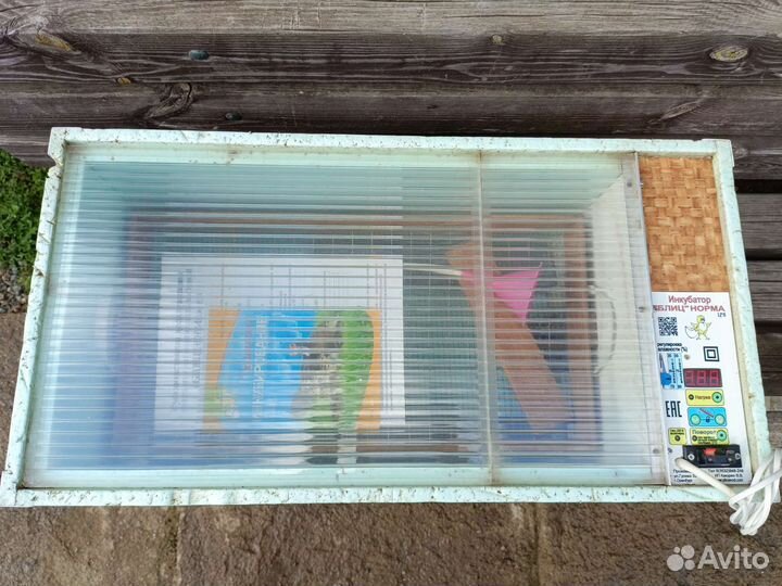 Оборудование для сельскохозяйственной птицы