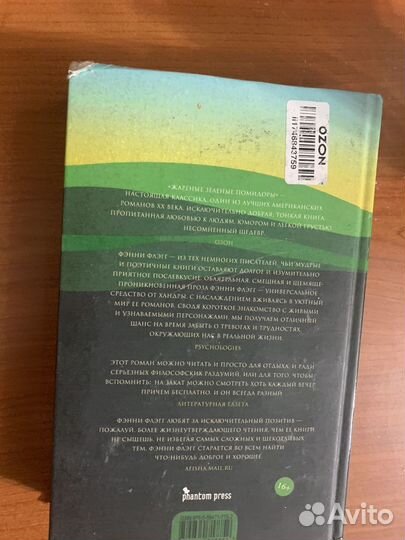 Жареные зеленые помидоры в кафе полустанок