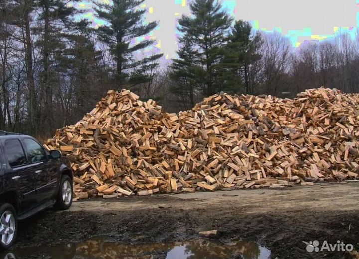 Дрова с Выборга