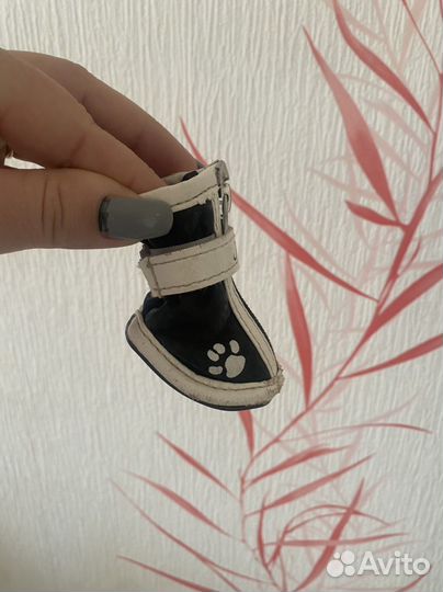 Обувь для маленьких собак