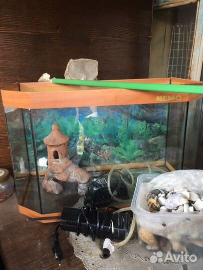 Аквариум 20 литров