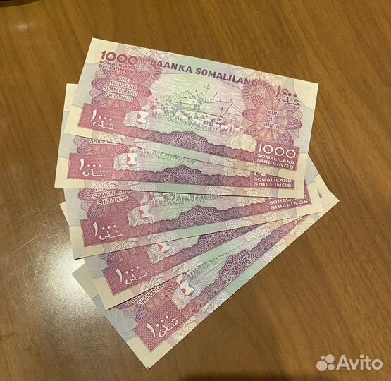 Банкнота 1000 шиллингов, Сомалиленд