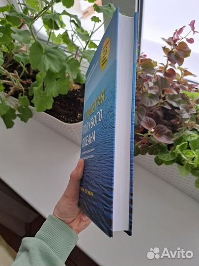 Стратегия голубого океана Р.Моборн/Чан Ким