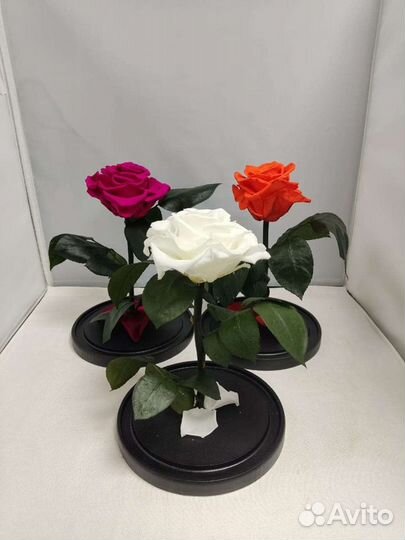 Роза в колбе оптом