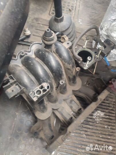 Впускной коллектор albea