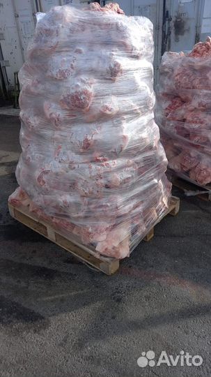 Свинные головы крупный опт