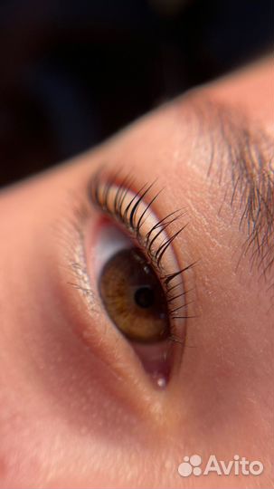 Ресницы и брови