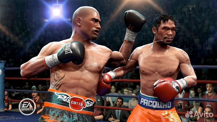 Fight Night Champion (Xbox 360)