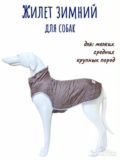 Жилет для животных