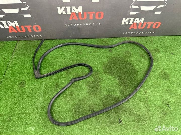 Уплотнитель двери задний правый Hyundai Elantra 4