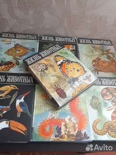 Жизнь животных 6 томов