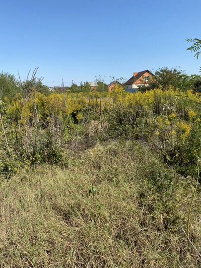 Участок 12 сот. (ИЖС)