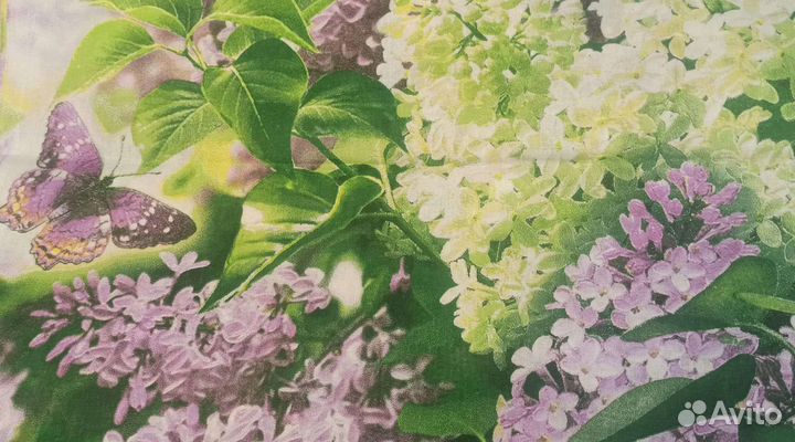 Отрез, лоскут