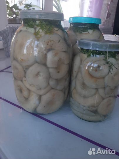 Продам грибы грузди