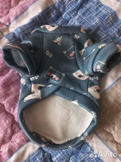 Одежда для животных