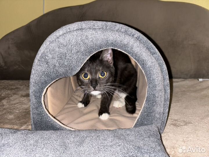 Лежанка для животных