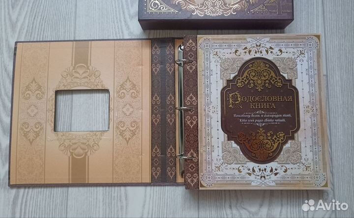 Семейная летопись книга