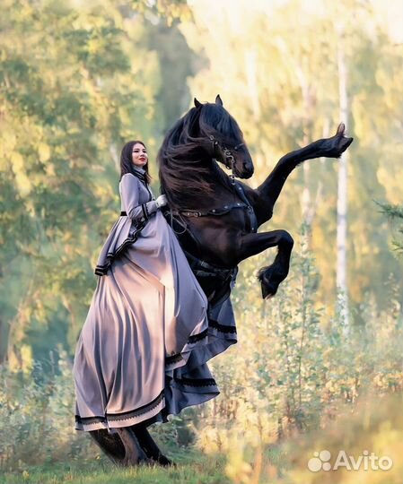 Фотосессии с лошадьми Москва