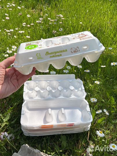 Ячейки для яиц упаковка картонные и пластиковые