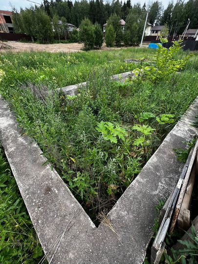 Участок 11,3 сот. (СНТ, ДНП)