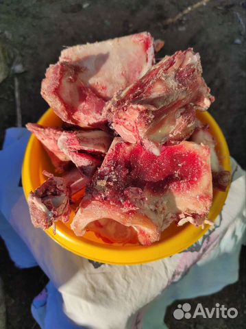 Кости для собак