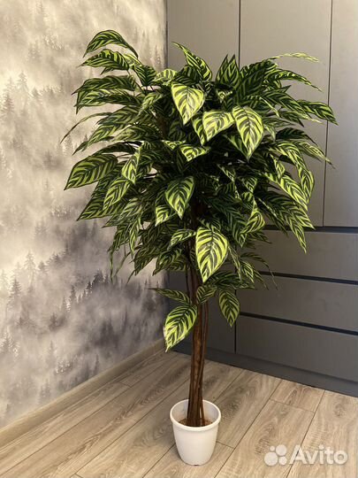 Искуственное дерево Диффенбахия