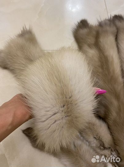 Шкурка куницы