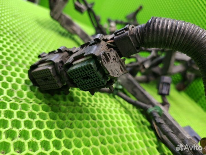 Проводка двигателя Acura Rdx TB1 K23A1 2007