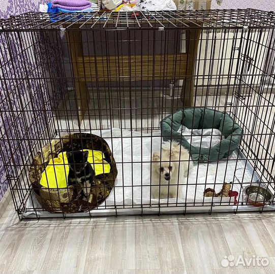 Клетка для собак №5