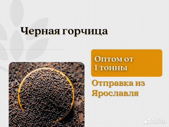 Чёрная горчица (кг)