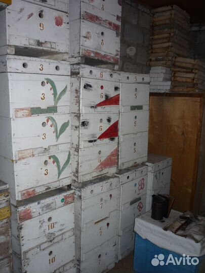 Ульи для пчел системы рута