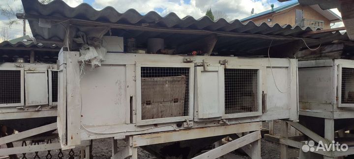 Клетки для кроликов