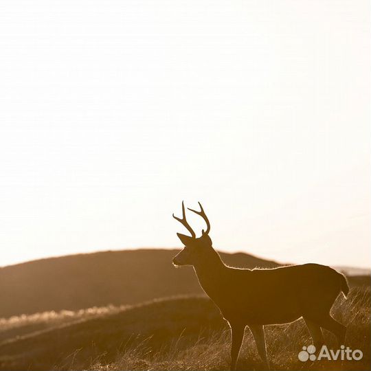 Дизайнерские фотообои 