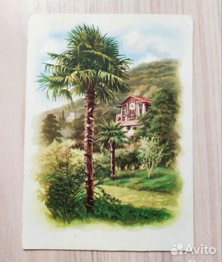 Ретро открытки (чистые) 60-е гг СССР