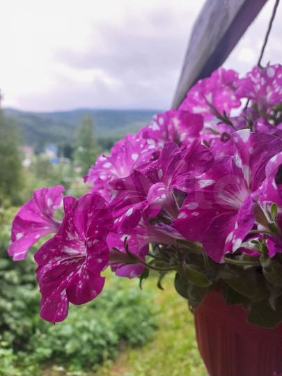 Коттедж 100 м² на участке 10 сот.