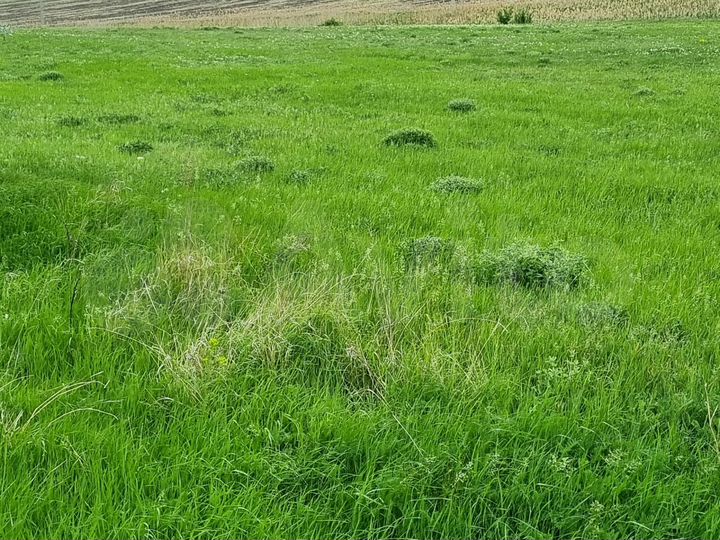 Участок 303 га (СНТ, ДНП)