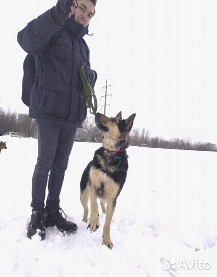 Красотка Роза хочет домой