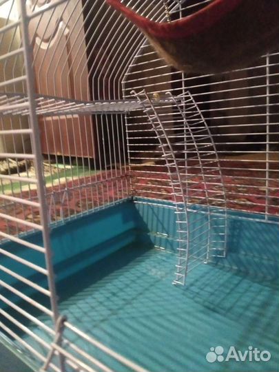 Клетка для грызунов