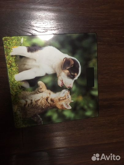 Весы напольные