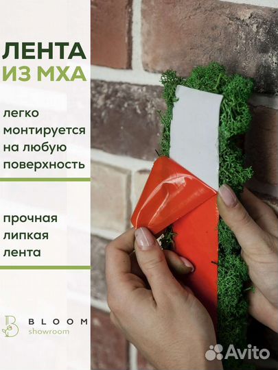 Мох для декора кирпичной стены