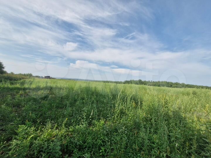 Участок 81 сот. (СНТ, ДНП)