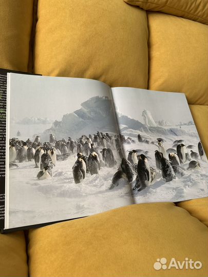 Книга. 200 красивейших мест дикой природы, 2007г