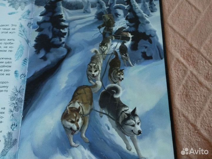 Джек Лондон - Белый клык