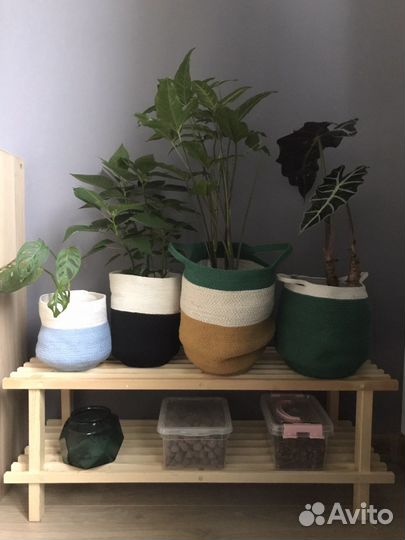 Хлопковые корзины