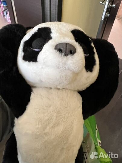 Панда двигается