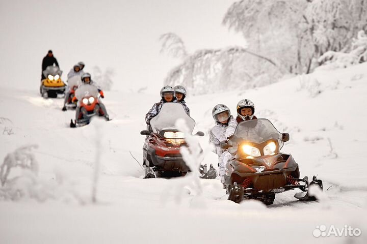 Экскурсия на Снегоходе. Прогулки Ладожские Шхеры