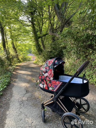 Коляска 2 в 1 Cybex spring blossom